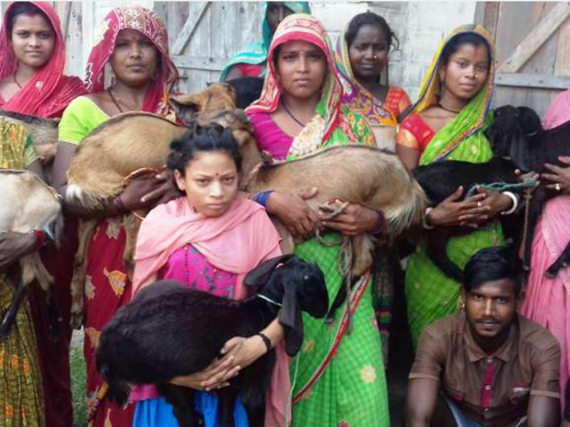 न्यून आय भएका परिवारलाई बाख्रा र बङ्गुर 